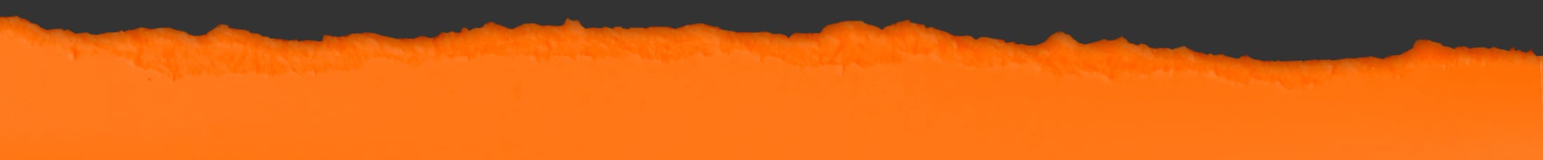 cic- rip orange-grey-top